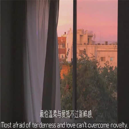 影子