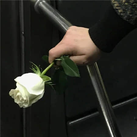 反向