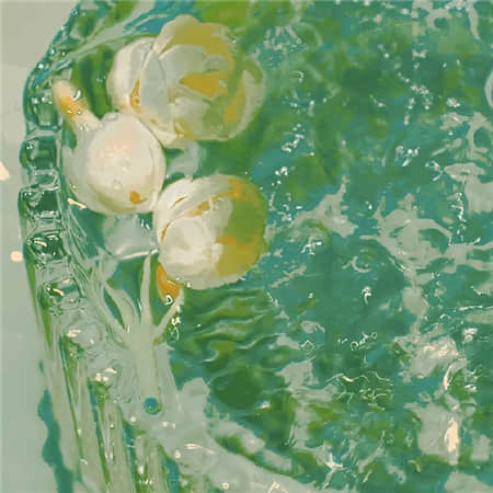 橙屿