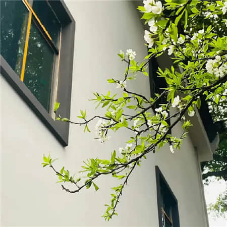 狂沙