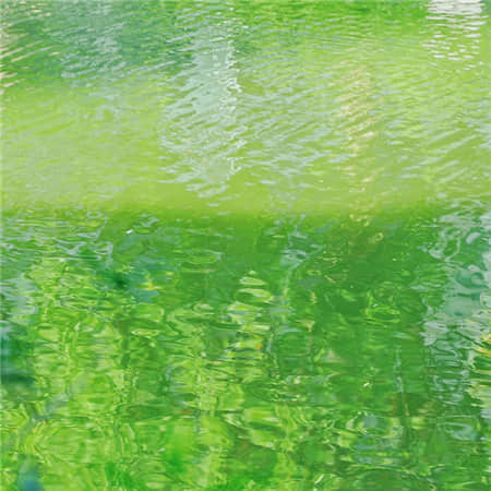 柴油