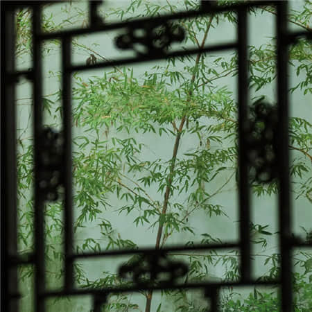 豆小