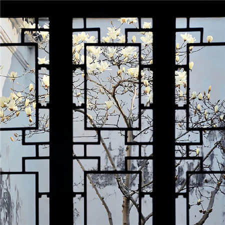 弦烬