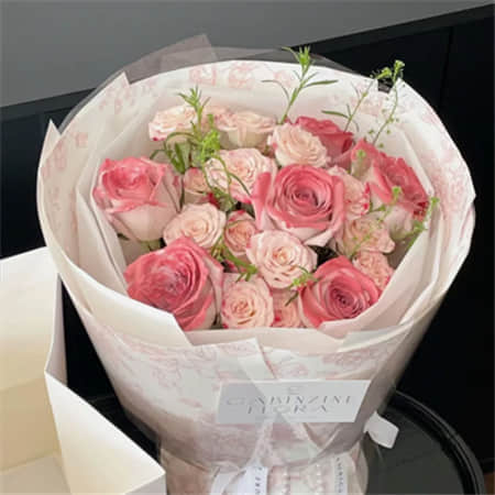 杨花