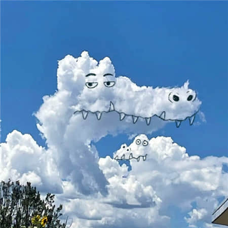 橘子