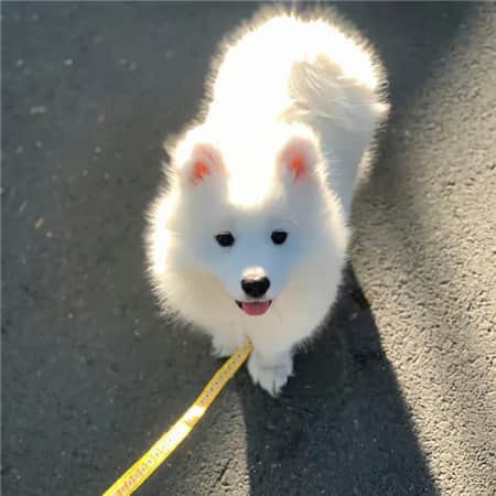 乾坤