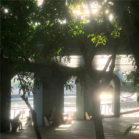 刘光