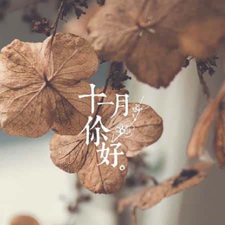 环佩