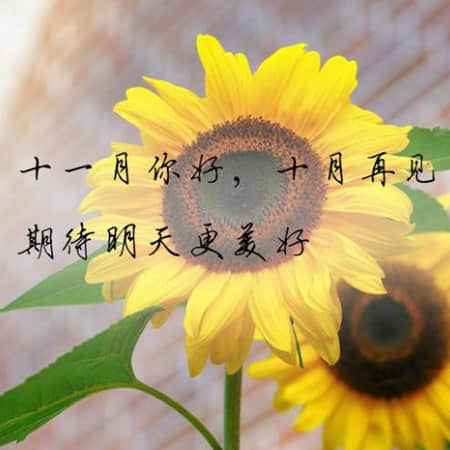 花间