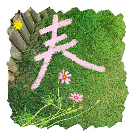 冠军