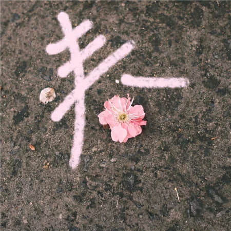 星星