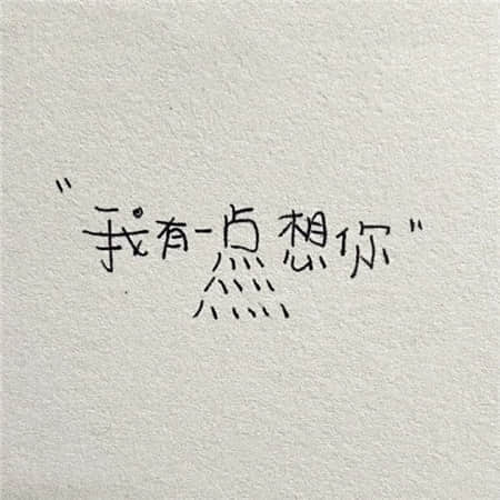 柯尔鸭