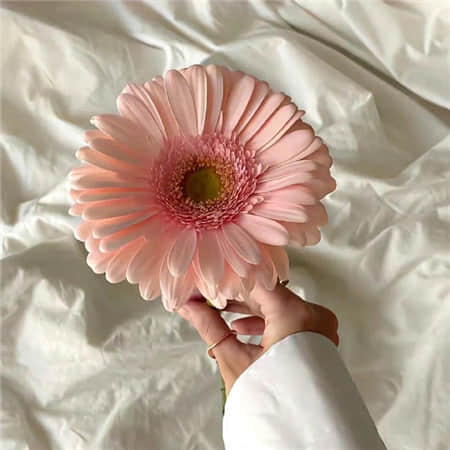 闺蜜昵称