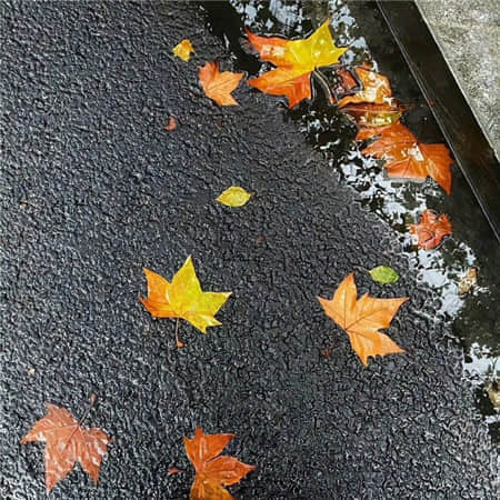 画扇