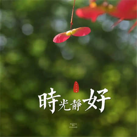 四字网名