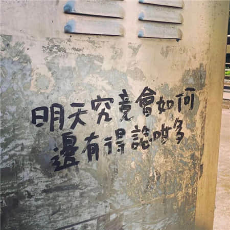 鲸数