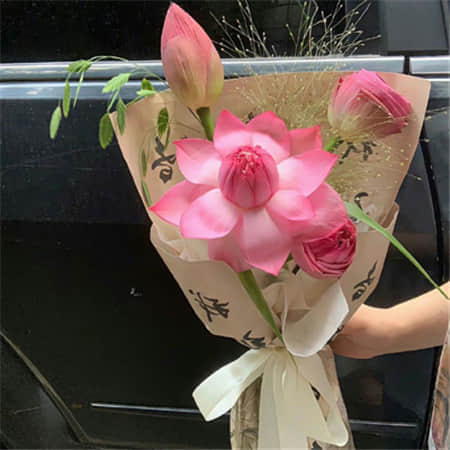 芝士