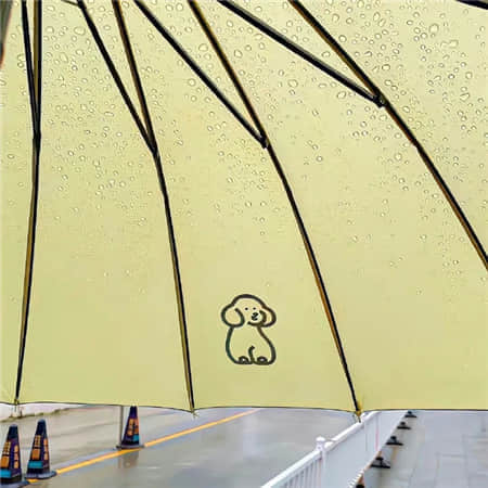 商樵