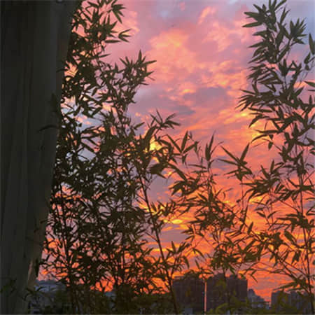 陈旧