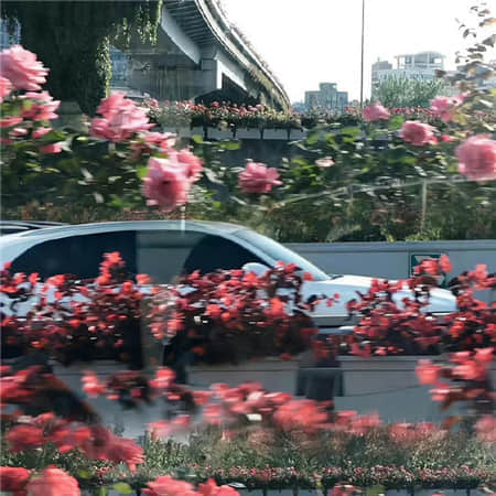 溺毙