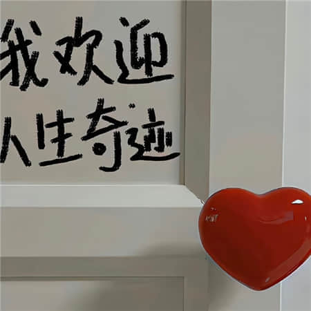 社会