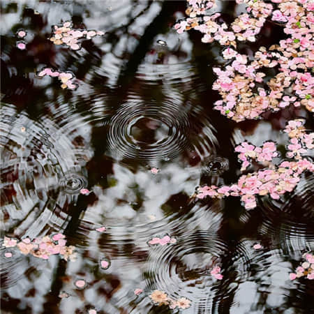 橘子