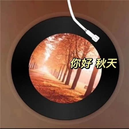 靖纱