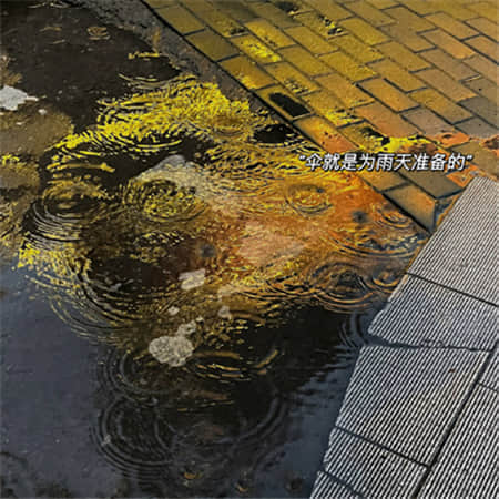 鸢尾