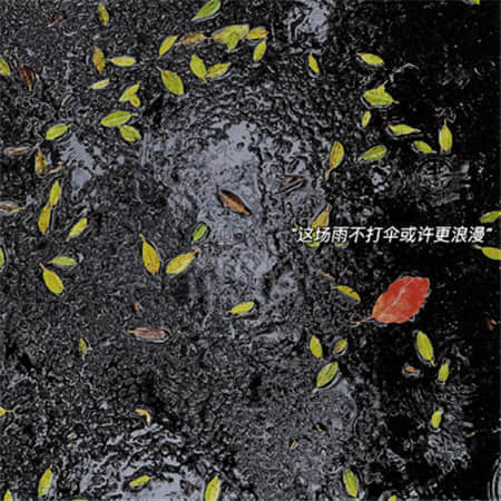 晓雾