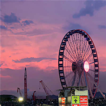 驯鹿