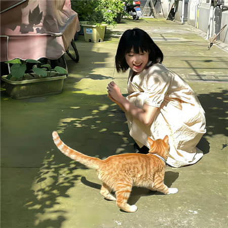何照