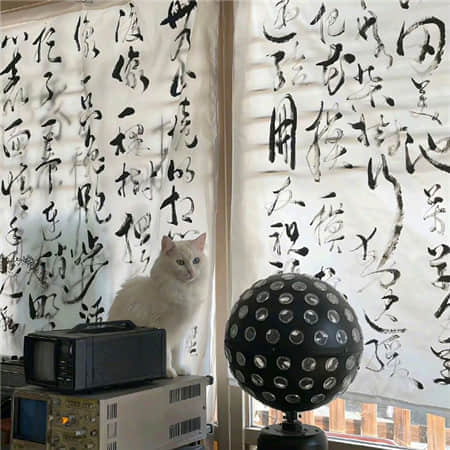 范姓