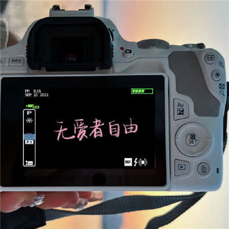 霓丝