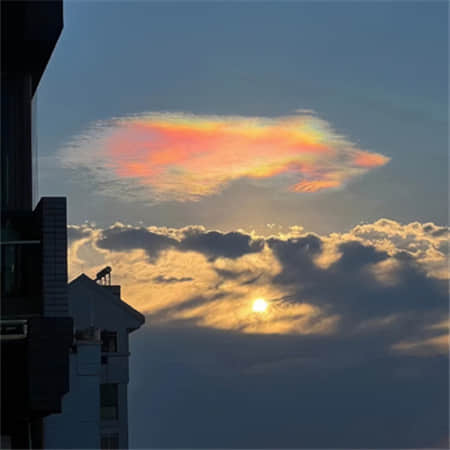 家长群