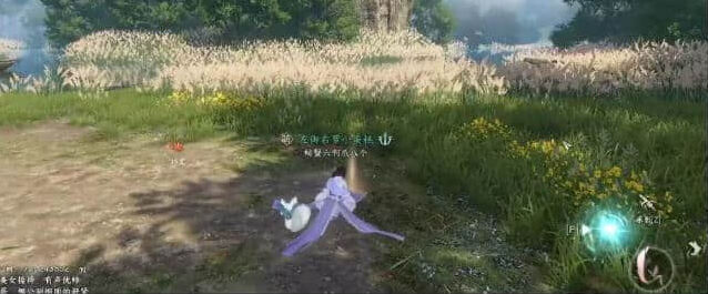 逆水寒图文攻略