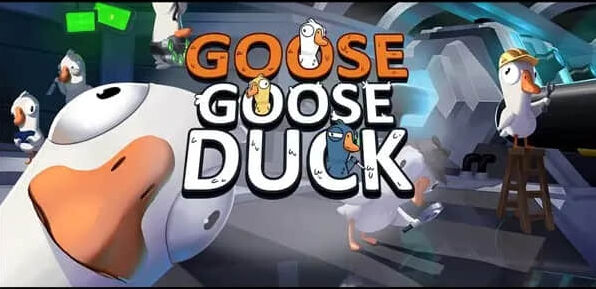 鹅鸭杀礼包码兑换码流程指南