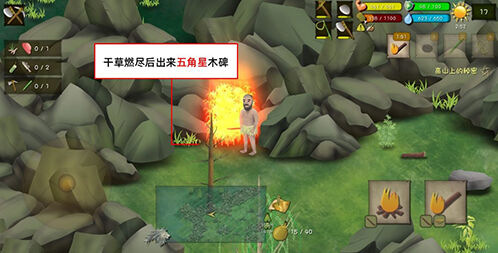 挨饿荒野罗马尼亚