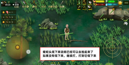 挨饿荒野罗马尼亚