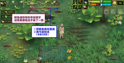 挨饿荒野丛林