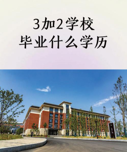 收费