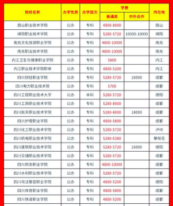 职业技术学院