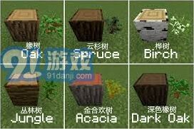 我的世界树苗种植技巧与条件分析