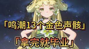 鸣潮小翼龙衍射技能详细教程