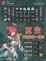 《鸣潮》夏空全方位培养技巧