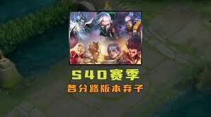 王者荣耀S40赛季弃子英雄指南