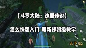 斗罗大陆诛邪传说圣伤魂印教程