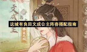 这城有良田文成公主配队指南分享