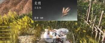 燕云十六声滹沱区四个麦子成就攻略