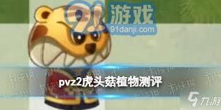 虎头菇培养攻略技巧