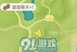 心动小镇溜溜橡木与无暇萤石位置详解
